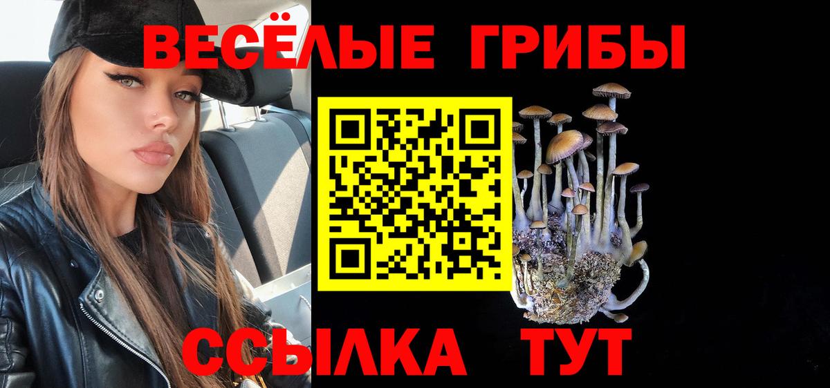 Тверь  Галлюциногенные грибы мухоморы  Вход с VPN  Псилоцибиновые грибы Cubensis 